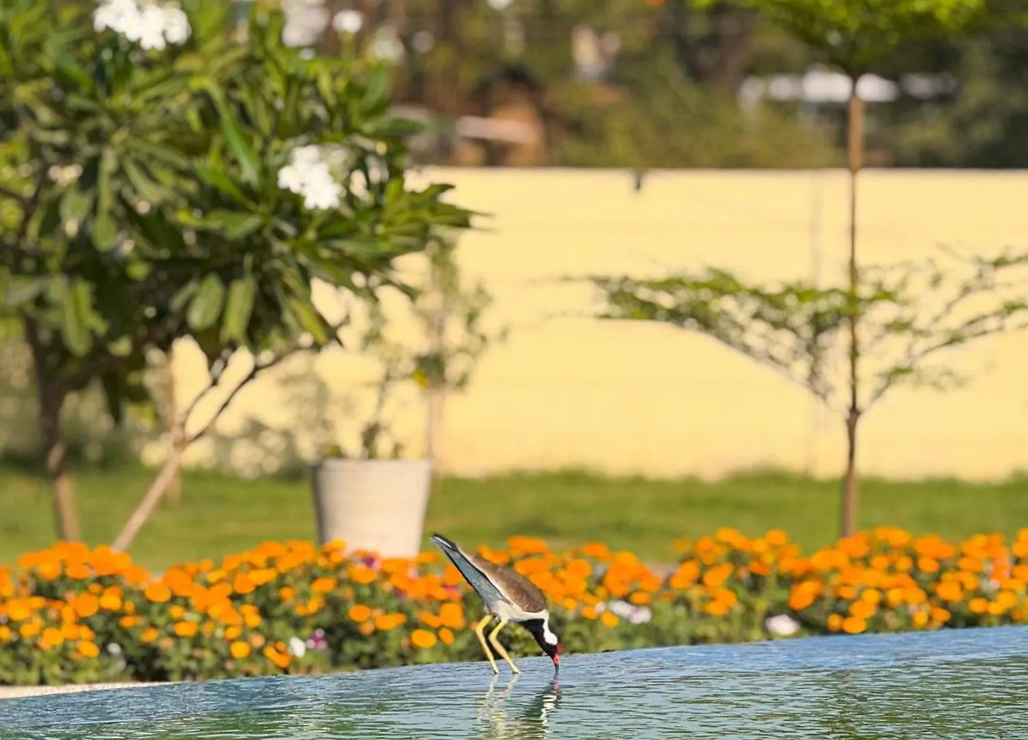 The Vaag Udaipur - A Luxury Pool Villa In Udaipur 0*,  Indien